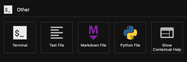 Opciones visibles en la sección del lanzador titulada "Other" dentro de la faceta notebook. Las selecciones desde la izquierda son: lanzador de terminal, archivo de texto, archivo de markdown, archivo de Python y un botón de ayuda.