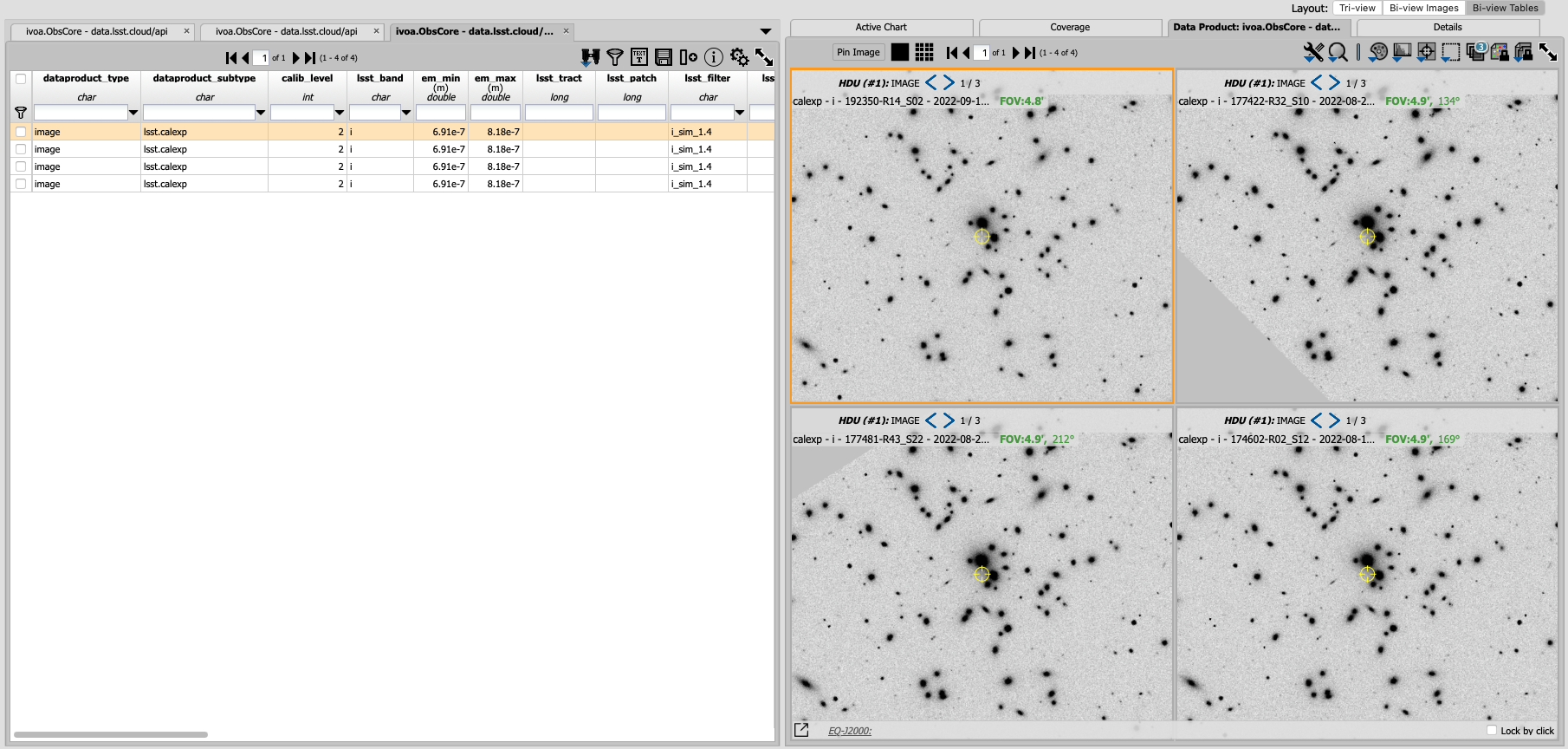 A screenshot of the image display and table results.